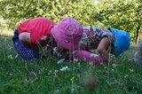 Aus der Perspektive einer Maus nehmen die Kinder den Wiesenboden ganz genau ins Visier | © LBV Umweltstation Altmühlsee