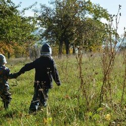 Auf der Suche nach dem Taubenschwänzchen im Herbst