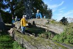 Die umgestürzte Linde lädt zum Klettern ein | © LBV-Umweltstation Altmühlsee