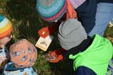 Taubenschwänzchen Zeichnung und Originale | © LBV-Umweltstation Altmühlsee