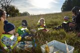 Nektarschlürfen wie die Schmetterllinge | © LBV-Umweltstation Altmühlsee
