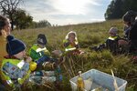 Nektarschlürfen wie die Schmetterllinge | © LBV-Umweltstation Altmühlsee