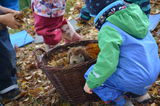 Laub sammeln für Igel Mecki | © LBV-Umweltstation Altmühlsee