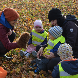 Apfelerlebnis auf der Buchleite
