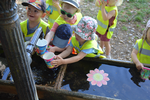 Wasserblume und Quellwasser genießen | &copy; LBV-Umweltstation Altmühlsee