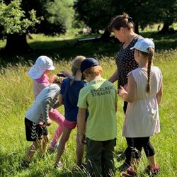 Was macht eine Wiese aus? Lebensraum Wiese im Sommer