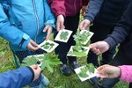 Klebekarten mit gelernten Heckenarten | © LBV-Umweltstation Altmühlsee